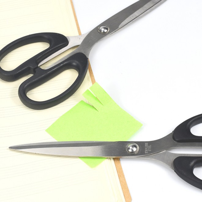 Student Scissors WB-D1-004